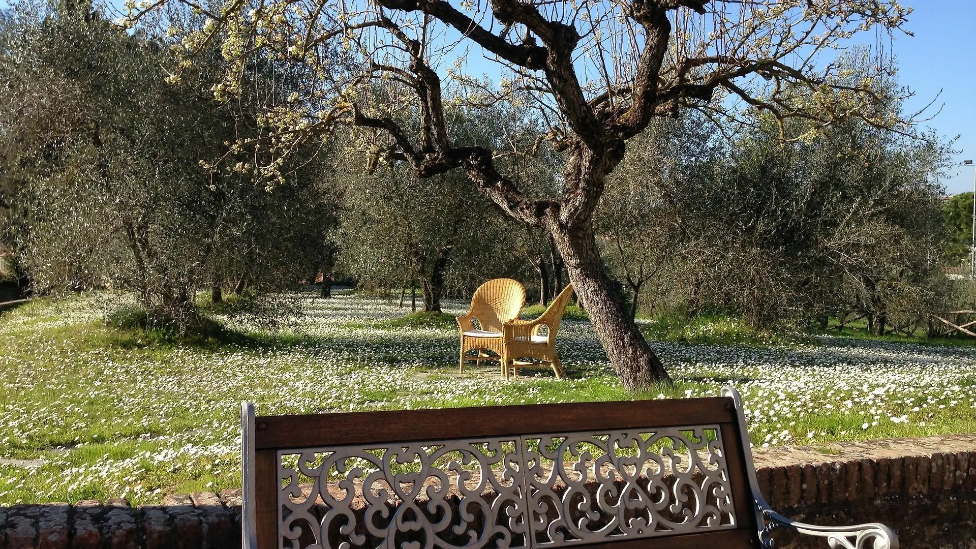 Palazzo Di Valli Hotel Siena